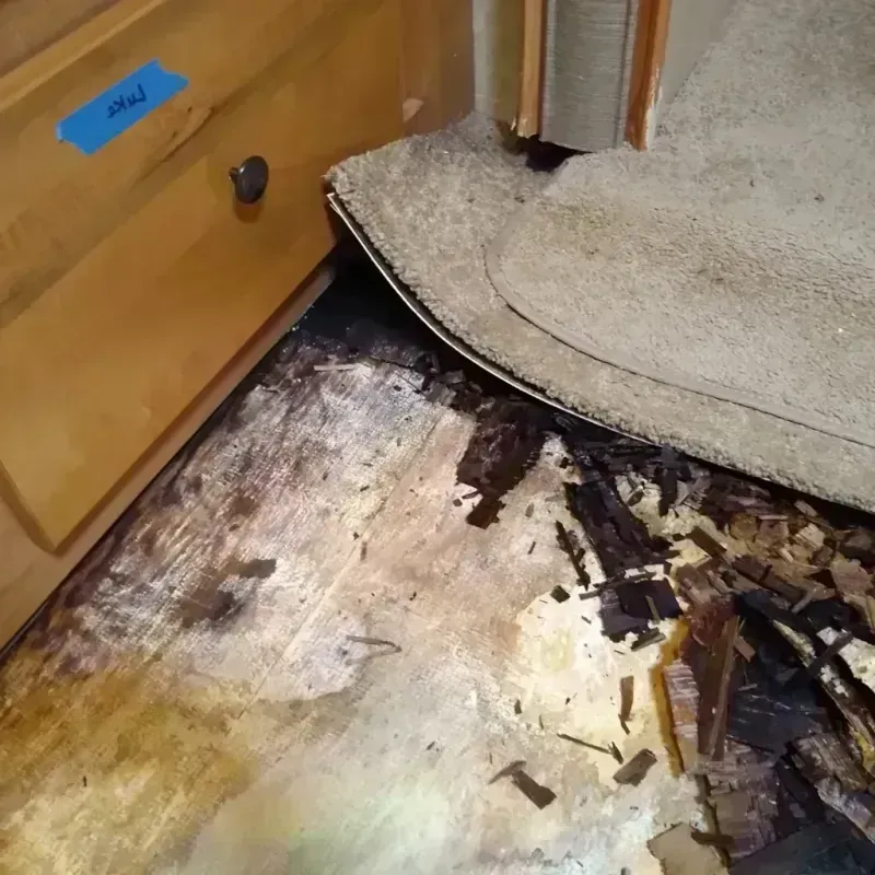 Wood Floor Water Damage in Chase City, VA